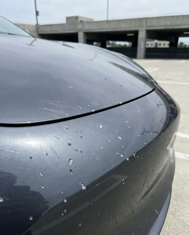 Fresh rock chips down to the primer across the hood and front bumper of a dark grey sedan